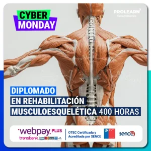 Diplomado en Rehabilitación Musculoesquelética 400 Horas